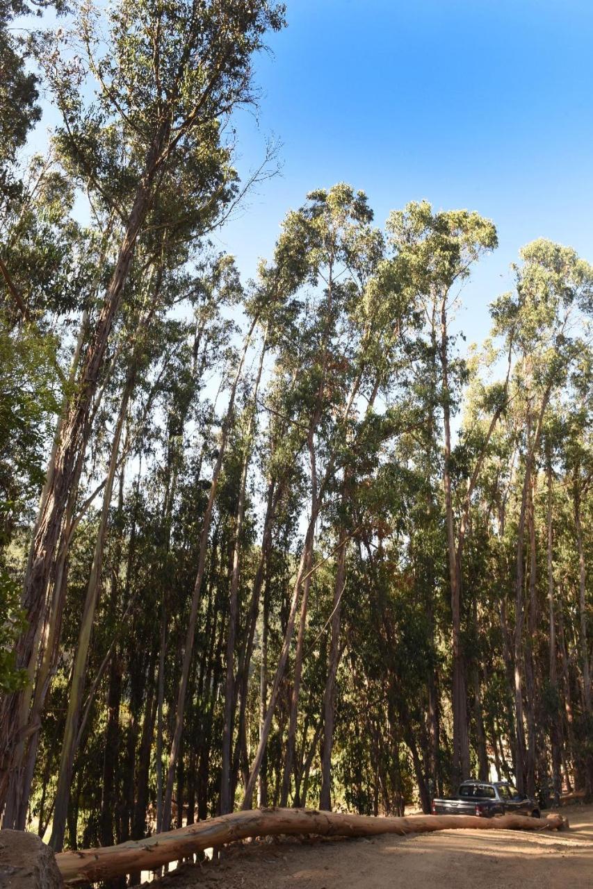 Parque Laguna De Zapallar